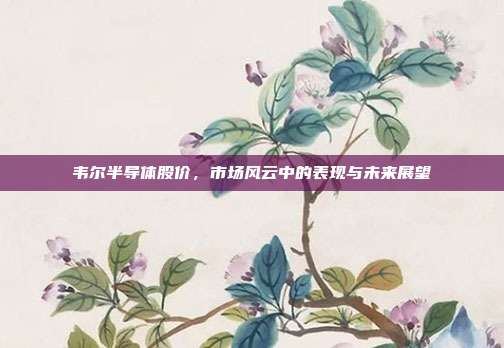 韦尔半导体股价，市场风云中的表现与未来展望