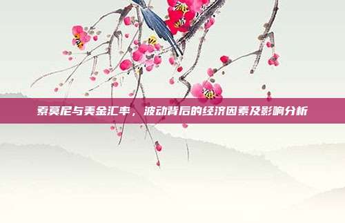 索莫尼与美金汇率，波动背后的经济因素及影响分析