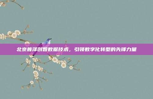 北京普泽创智数据技术，引领数字化转型的先锋力量