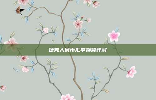 捷克人民币汇率换算详解