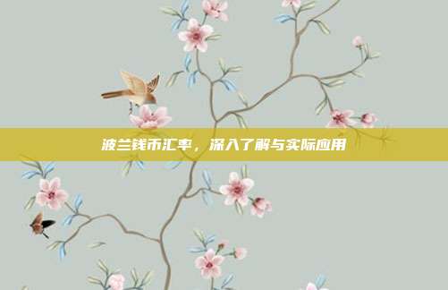 波兰钱币汇率，深入了解与实际应用