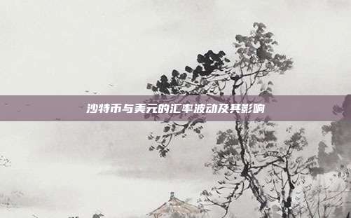 沙特币与美元的汇率波动及其影响