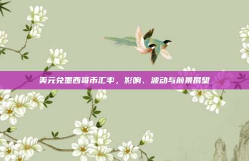 美元兑墨西哥币汇率，影响、波动与前景展望