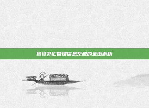 投资外汇管理信息系统的全面解析