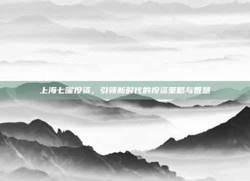 上海七曜投资，引领新时代的投资策略与智慧