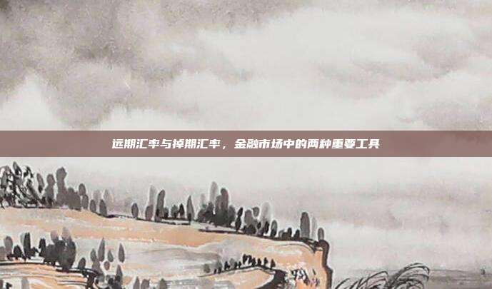远期汇率与掉期汇率，金融市场中的两种重要工具