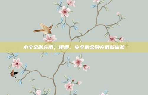小宝金融充值，便捷、安全的金融充值新体验