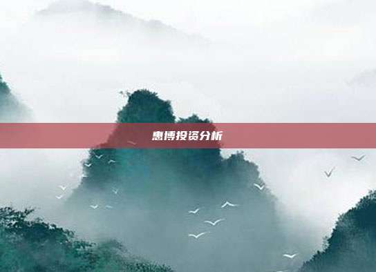 惠博投资分析