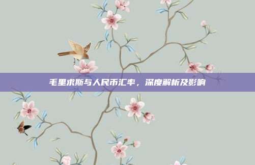 毛里求斯与人民币汇率，深度解析及影响