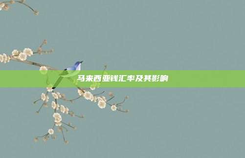 马来西亚钱汇率及其影响