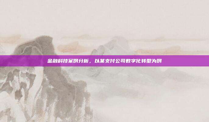金融科技案例分析，以某支付公司数字化转型为例