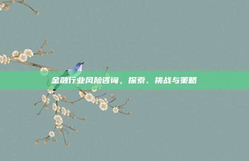 金融行业风险咨询，探索、挑战与策略