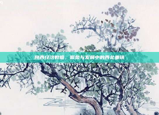 陕西经济数据，繁荣与发展中的西北重镇