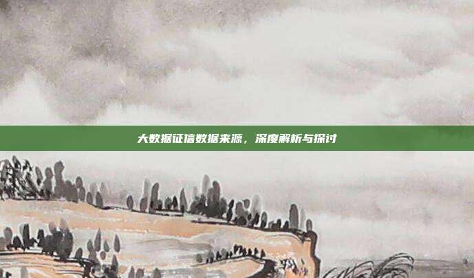 大数据征信数据来源，深度解析与探讨