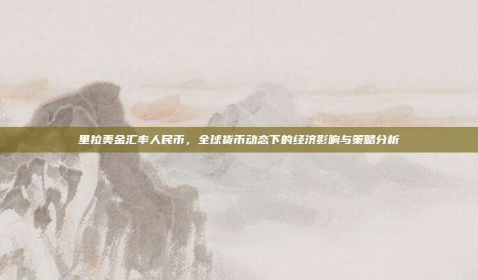 里拉美金汇率人民币，全球货币动态下的经济影响与策略分析