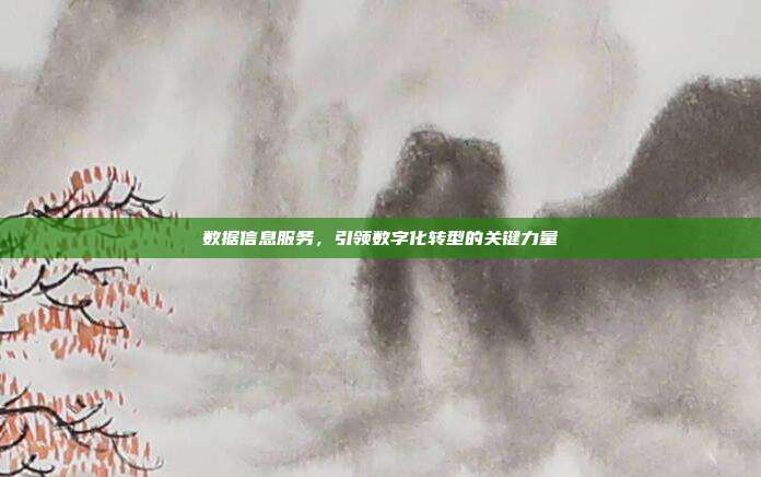 数据信息服务，引领数字化转型的关键力量