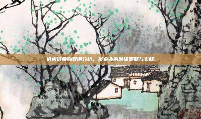 供应链金融案例分析，某企业的融资策略与实践