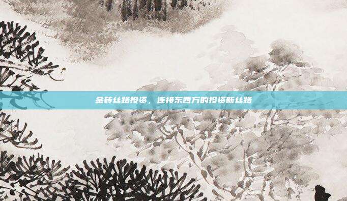 金砖丝路投资，连接东西方的投资新丝路