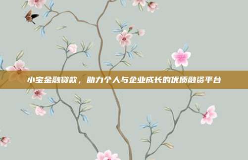 小宝金融贷款，助力个人与企业成长的优质融资平台