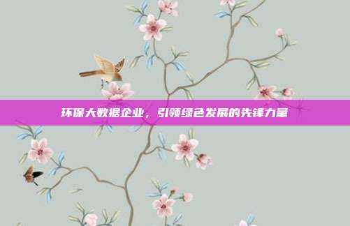 环保大数据企业，引领绿色发展的先锋力量