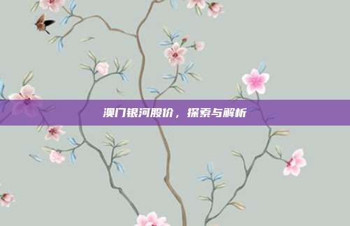 澳门银河股价，探索与解析