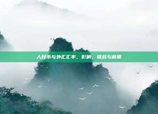 人民币与外汇汇率，影响、挑战与前景