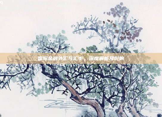 国际金融外汇与汇率，深度解析及影响