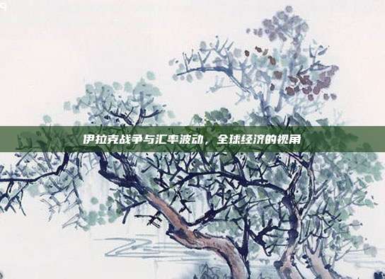 伊拉克战争与汇率波动，全球经济的视角