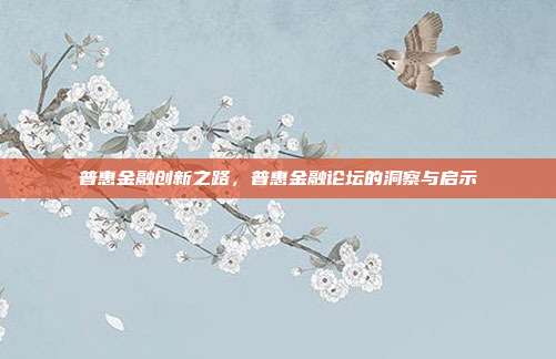 普惠金融创新之路，普惠金融论坛的洞察与启示