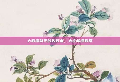 大数据时代的先行者，大连畅通数据