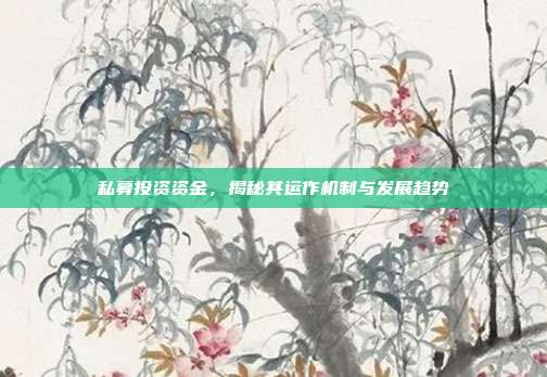 私募投资资金，揭秘其运作机制与发展趋势
