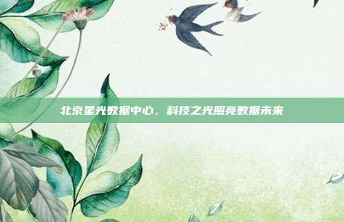 北京星光数据中心，科技之光照亮数据未来