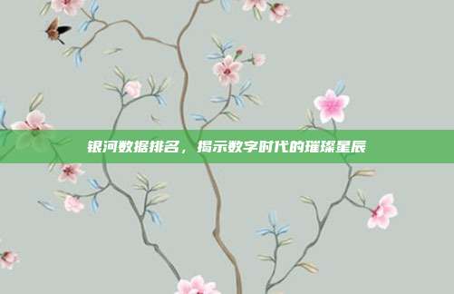 银河数据排名，揭示数字时代的璀璨星辰