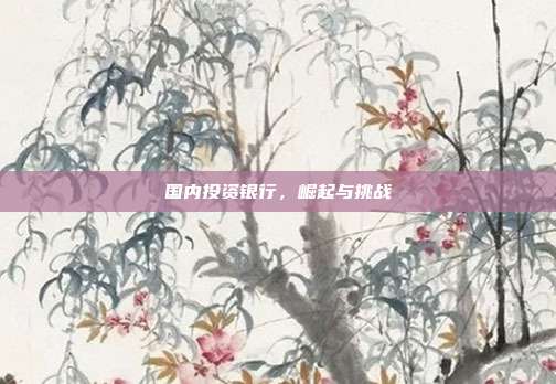 国内投资银行，崛起与挑战