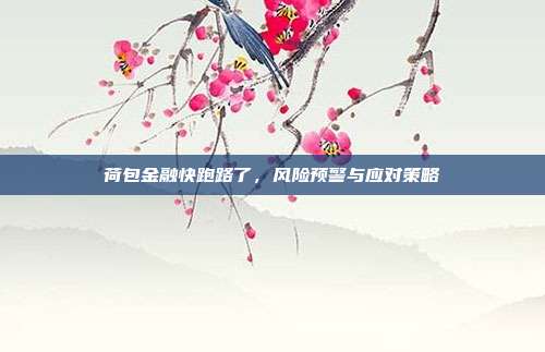 荷包金融快跑路了，风险预警与应对策略
