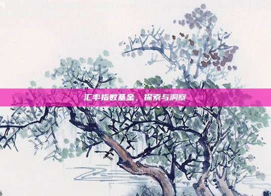 汇率指数基金，探索与洞察