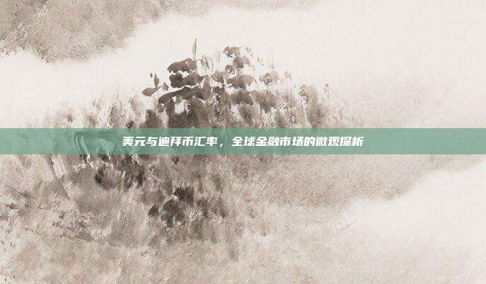 美元与迪拜币汇率，全球金融市场的微观探析