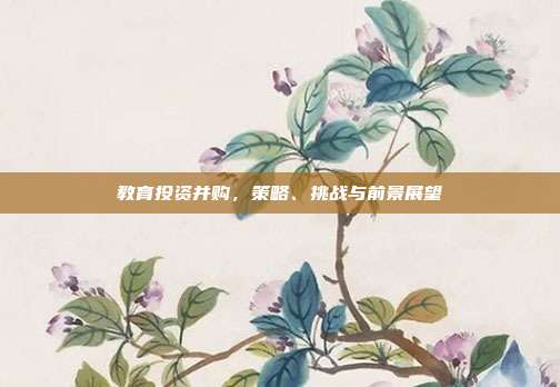 教育投资并购，策略、挑战与前景展望