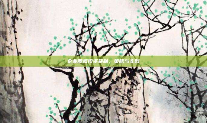 企业股权投资获利，策略与实践