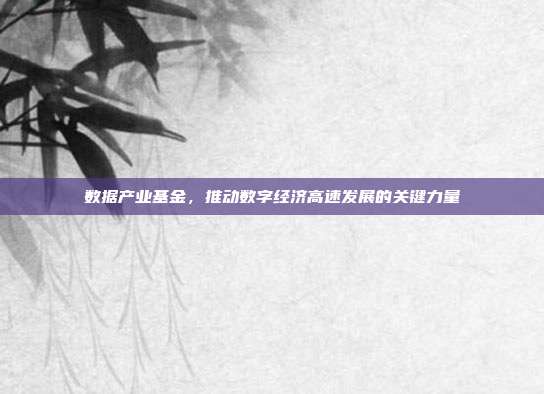 数据产业基金，推动数字经济高速发展的关键力量