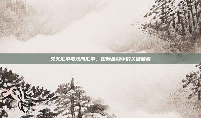 交叉汇率与双向汇率，国际金融中的关键要素
