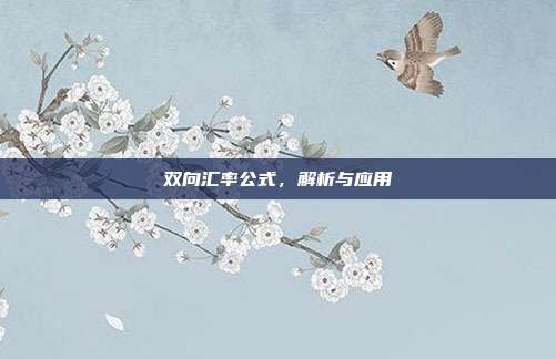 双向汇率公式，解析与应用
