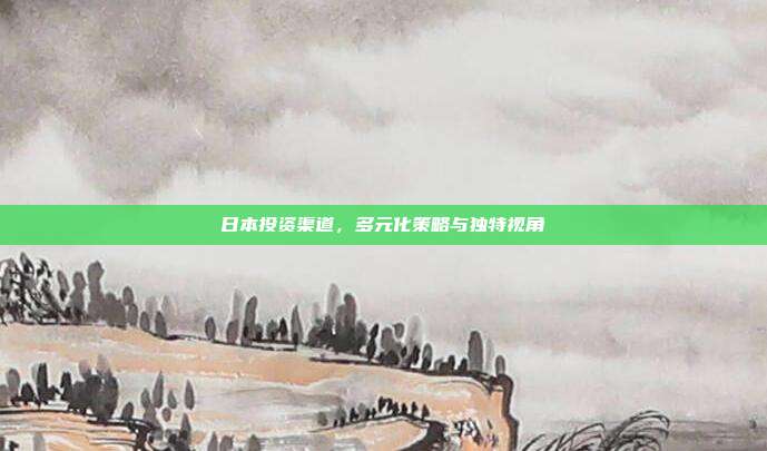 日本投资渠道，多元化策略与独特视角