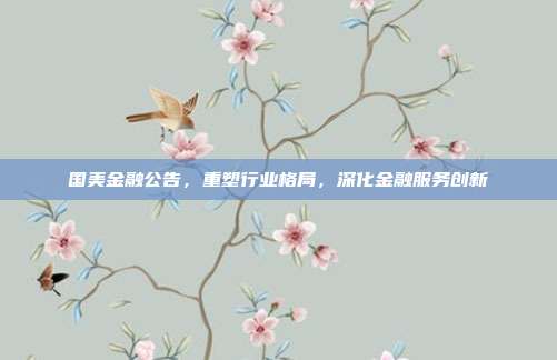 国美金融公告，重塑行业格局，深化金融服务创新
