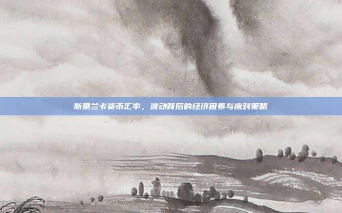 斯里兰卡货币汇率，波动背后的经济因素与应对策略