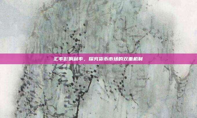 汇率影响利率，探究货币市场的双重机制