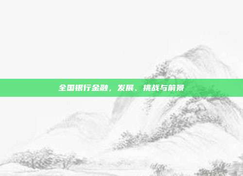 全国银行金融，发展、挑战与前景