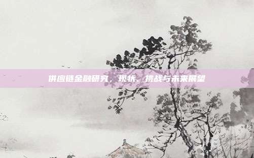 供应链金融研究，现状、挑战与未来展望