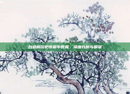 创业板历史市盈率数据，深度分析与展望