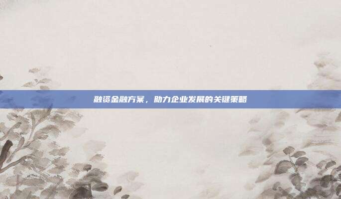 融资金融方案，助力企业发展的关键策略